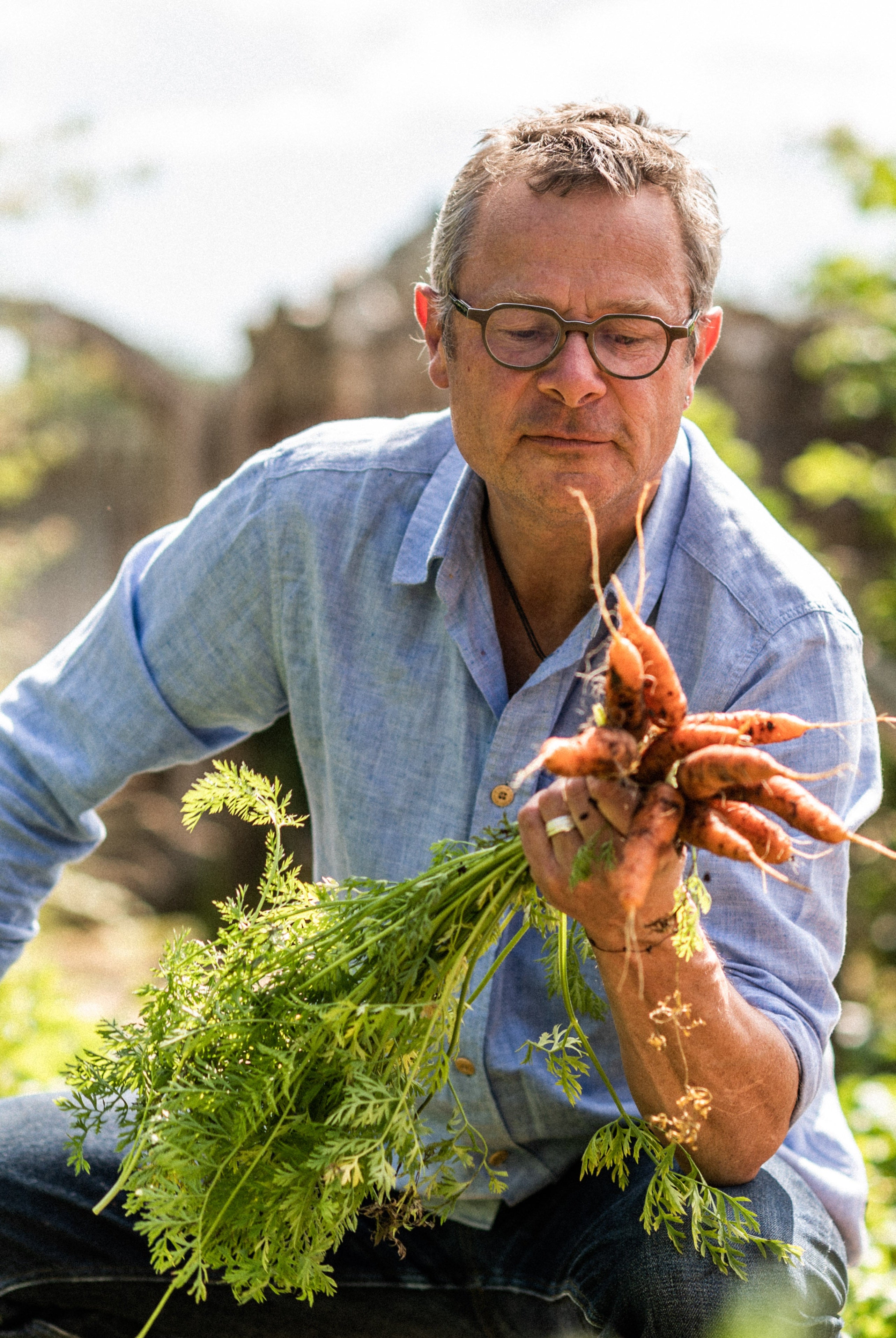 Wildflowers and Vegetables, the Perfect Companions - A Guide on Companion Planting