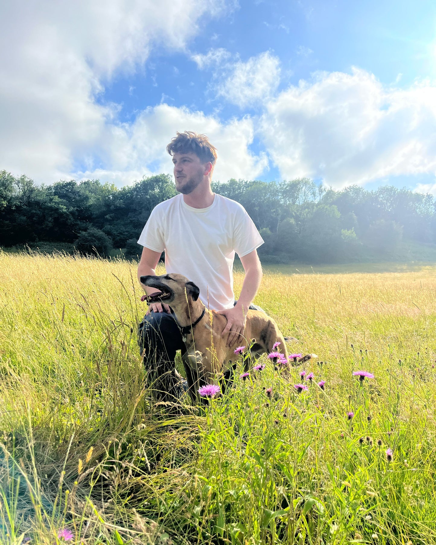Pet-Friendly 100% Wildflower Seed Mix