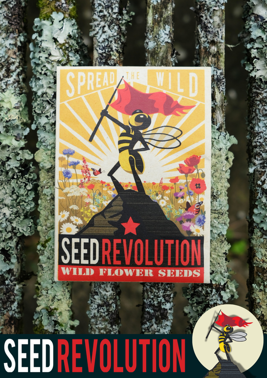 The Universal Economy Meadow - 100% Wildflower Seed Mix - 'Spread the Wild'