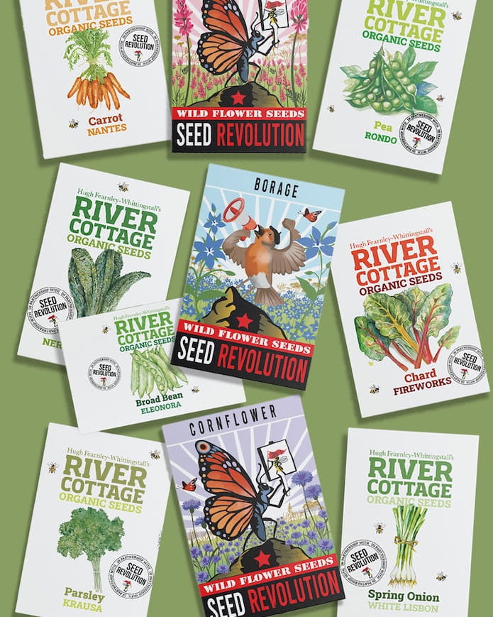 Collection of River Cottage Organic Veg Seeds packets for the Bee-Friendly Kitchen Garden Bundle on a green background. Showcasing Seed Revolution's Veg Seeds, carrot seeds, broad bean seeds, spring onion seeds, kales seeds, chard seeds, pea seeds, parsley seeds, wildflower seeds, vegetable seeds, organic seeds, seed for veggies, seeds veg, veg seed uk, organic seeds, organic vegetable seeds.