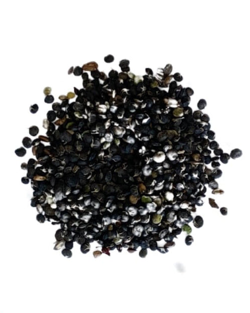 Black Medick seed in a pile with text 'No added soil filler, no added grass seed, just seed' and 'Seed Revolution' branding. Showcasing our Medicago lupulina, yellow trefoil, medic plant, british wild flower seeds, british wildflower seeds, uk wildflower seeds