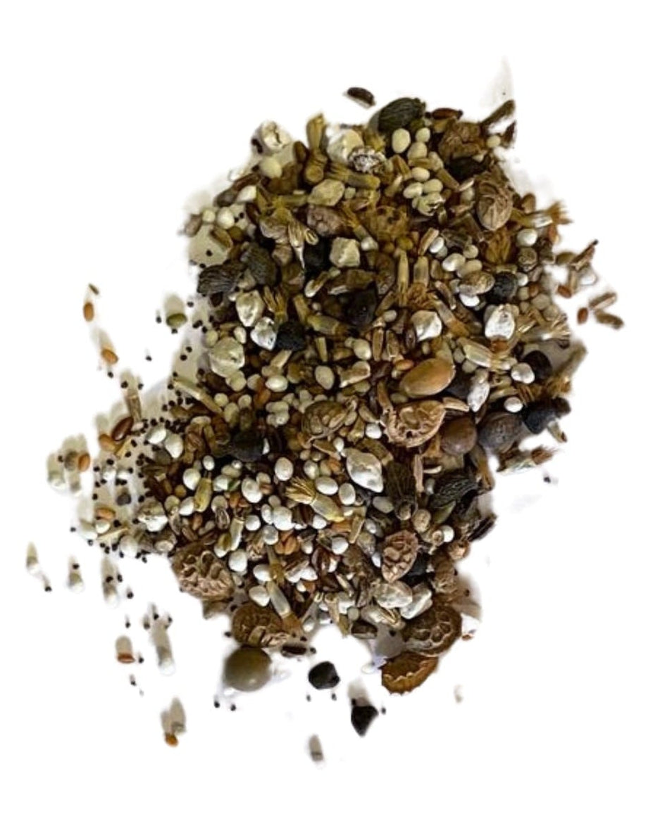 Seeds on white background with text indicating no added soil filler or grass seed, just seed. Showcasing Native Shady Meadow 100% Wildflower Seed Mix, which is british wild flower seeds, british wildflower seeds, wildflower mixes, mixed wildflower seeds, uk wildflower seeds, wildflower meadows, wildflower meadow, shade wildflowers, shady wildflower mix, cost-effective wildflower meadow.