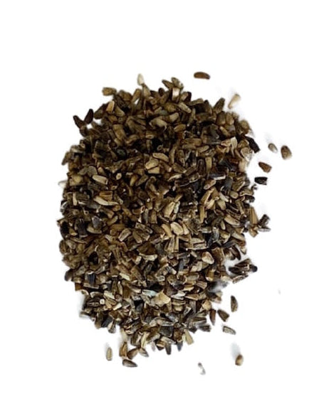 Chicory seed in a pile with text 'No added soil filler, no added grass seed, just seed' and 'Seed Revolution' branding. Showcasing our Cichorium intybus, flowering chicory, chicory plant, chicory flower, british wild flower seeds, british wildflower seeds, uk wildflower seeds.