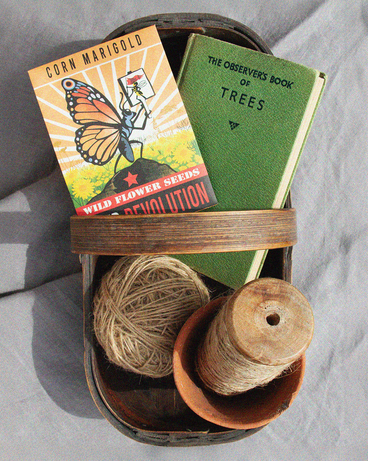 A corn marigold wildflower seed packet with gardening tools in a basket. Showcasing Seed Revolution's Corn Marigold, Glebionis segetum, Corn Marigolds, chrysanthemum segetum corn marigold, Corn Marigold seed, british wild flower seeds, british wildflower seeds, uk wildflower seeds.