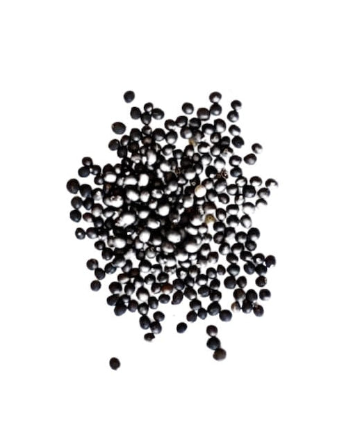 Common Sage seeds in a pile with text indicating 'No added soil filler, no added grass seed, just seed' on a white background, featuring the Seed Revolution logo. Showcasing our Salvia officinalis, sage, sage plants, british wild flower seeds, british wildflower seeds, uk wildflower seeds.