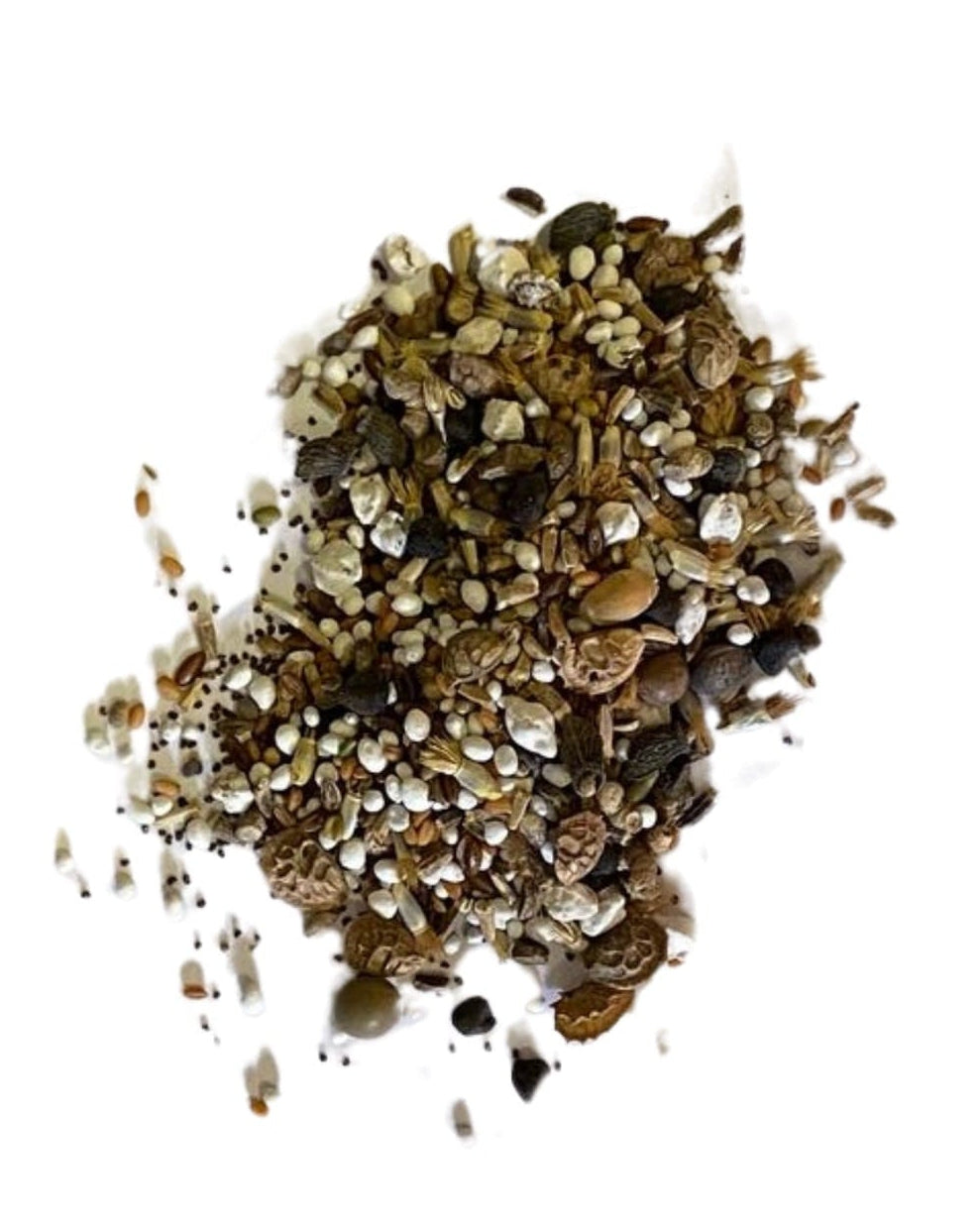 Seeds on white background with text indicating no added soil filler or grass seed, just seed. Showcasing Native Universal Meadow 100% Wildflower Seed Mix, which is british wild flower seeds, british wildflower seeds, wildflower mixes, mixed wildflower seeds, uk wildflower seeds, wildflower meadows, wildflower meadow, universal wildflowers, universal meadow, cost-effective wildflower meadow.
