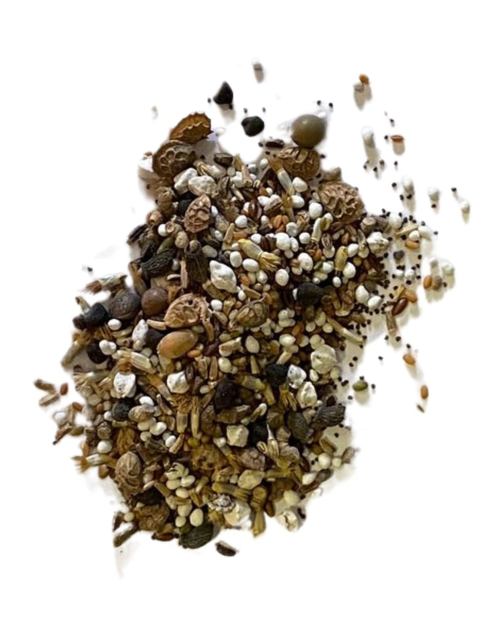 Seeds on white background with text indicating no added soil filler or grass seed, just seed. Showcasing Native Beginner's Meadow Wildflower Seed Mix, which is british wild flower seeds, british wildflower seeds, wildflower mixes, mixed wildflower seeds, uk wildflower seeds, wildflower meadows, wildflower meadow, universal wildflowers, beginner meadow, cost-effective wildflower meadow