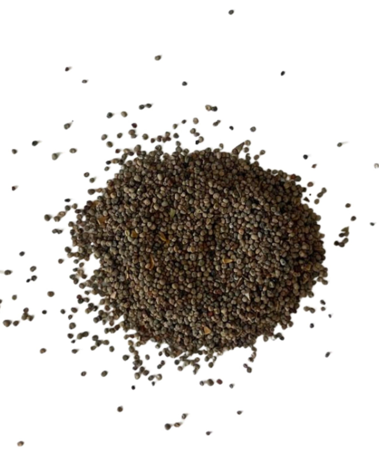 Heap of White Campion seeds with 'Seed Revolution' logo at the bottom. Showcasing our White Campion, Silene latifolia, campion flower, campion wildflower, wildflower campion, british wild flower seeds, british wildflower seeds, uk wildflower seeds.