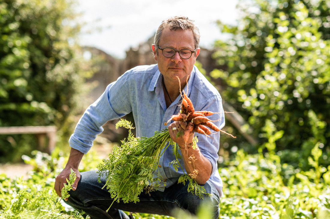 Wildflowers and Vegetables, the Perfect Companions - A Guide on Companion Planting