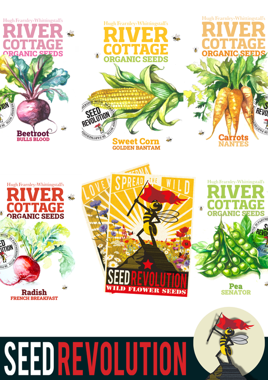 River Cottage Vegetable Bundle - Exclusive