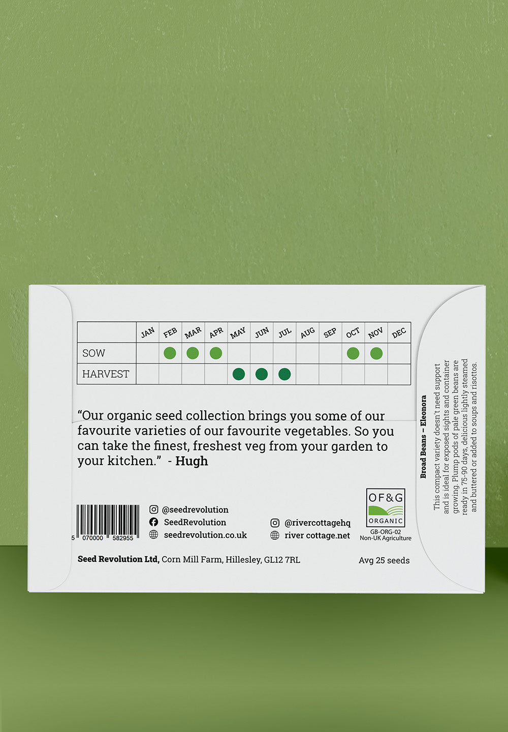 River Cottage Organic Veg Seeds - Broad Bean - Eleonora