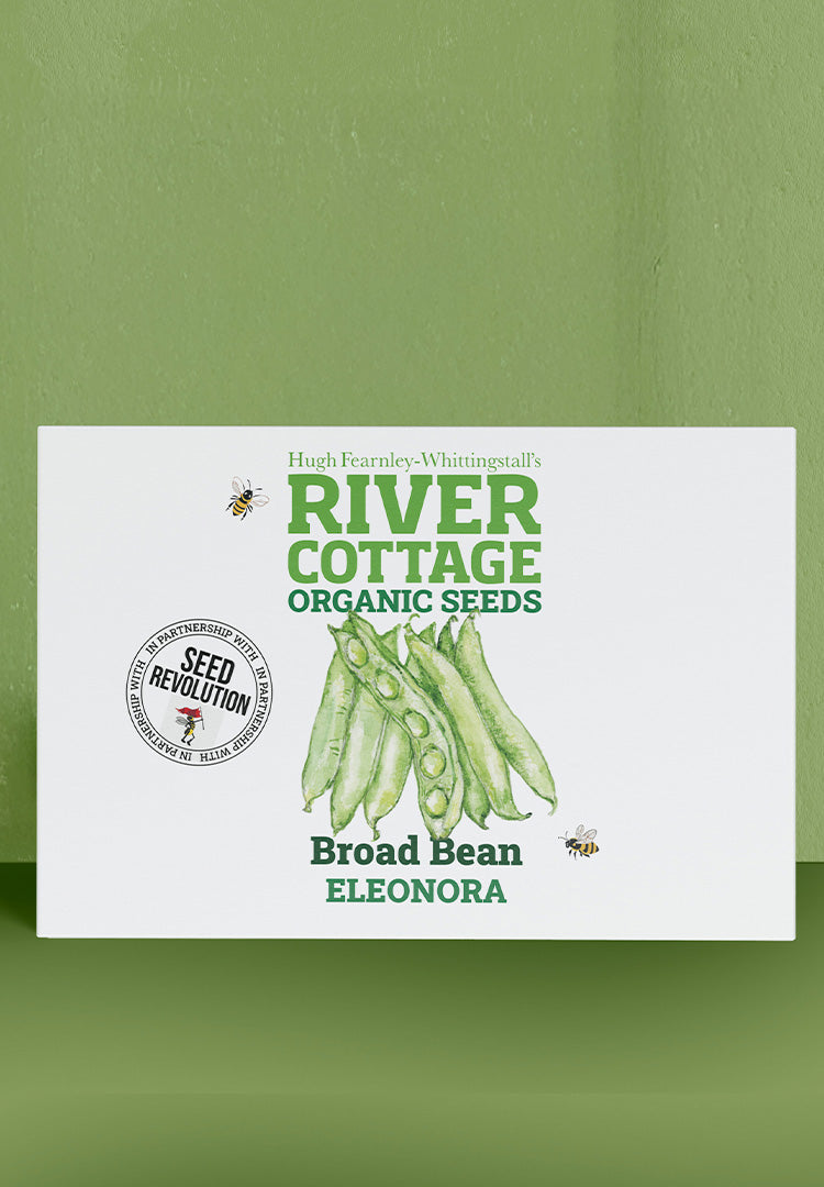 River Cottage Organic Veg Seeds - Broad Bean - Eleonora