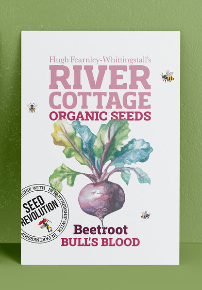 River Cottage Organic Veg Seeds - Beetroot - Bull's Blood