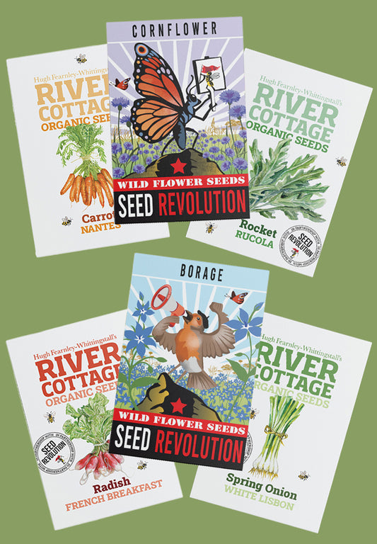 River Cottage Pollinator Starter Patch Bundle