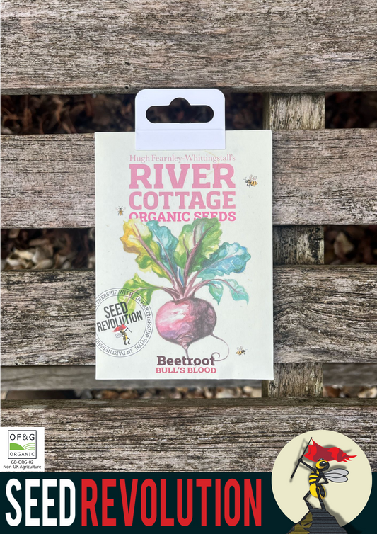 Organic Beetroot Bull's Blood - River Cottage
