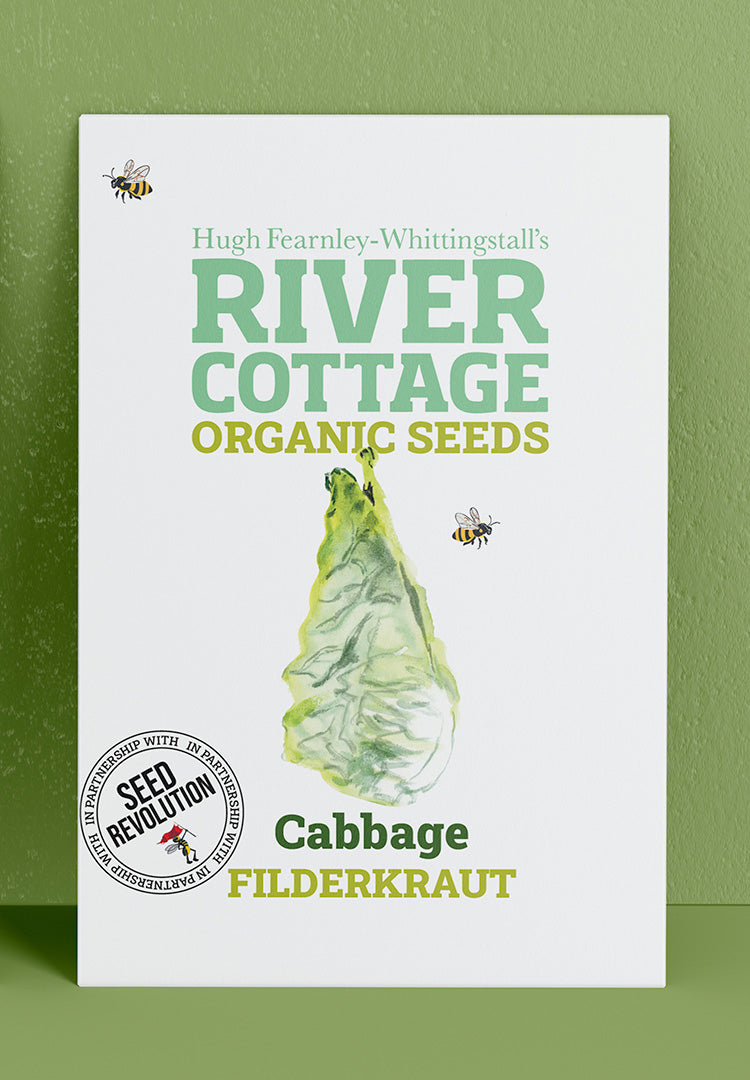 River Cottage Organic Veg Seeds - Cabbage Filderkraut