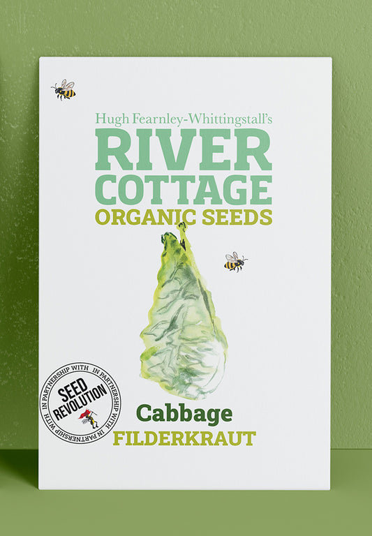 River Cottage Organic Veg Seeds - Cabbage Filderkraut