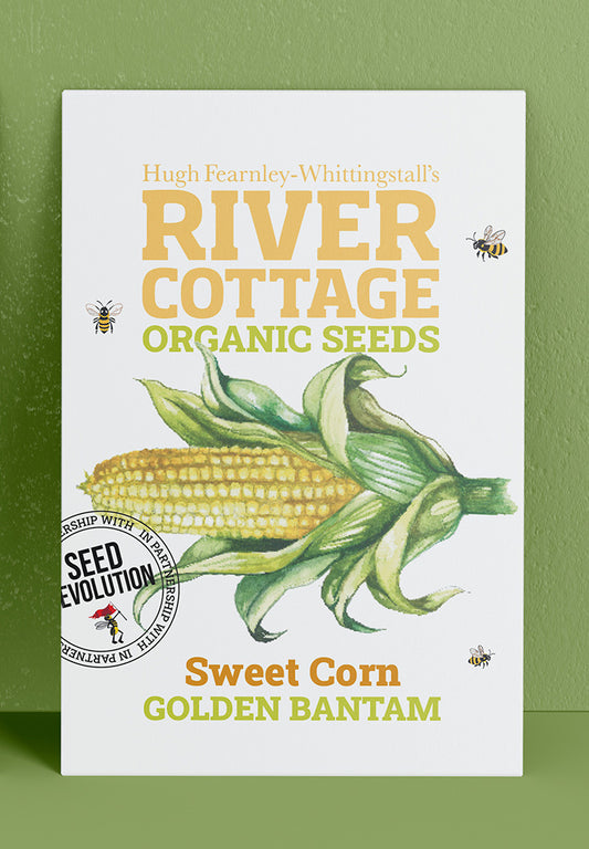 River Cottage Organic Veg Seeds - Sweet Corn - Golden Bantam