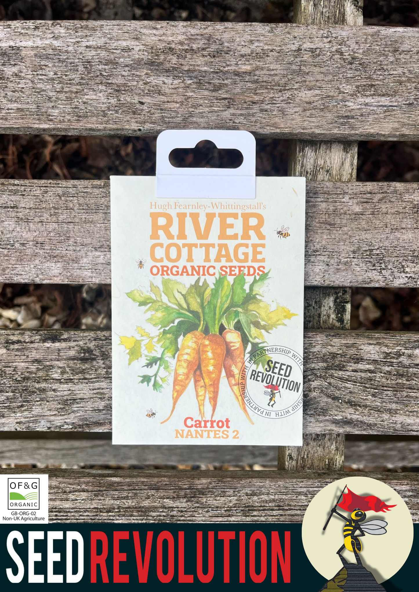 Organic Carrot Nantes 2 - River Cottage