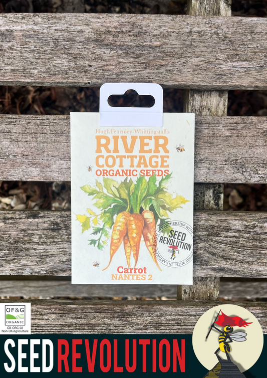 Organic Carrot Nantes 2 - River Cottage