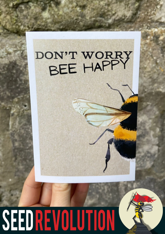 'Don't worry bee happy' greetings card and envelope