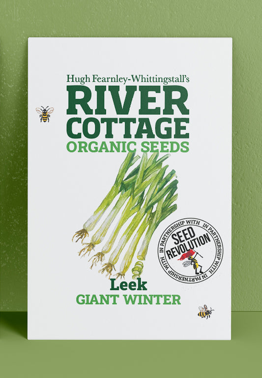 River Cottage Organic Veg Seeds - Leek - Giant Winter