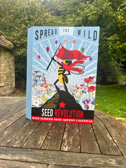 Wild Flower Seed Advent Calendar - Pre-order for 20% off