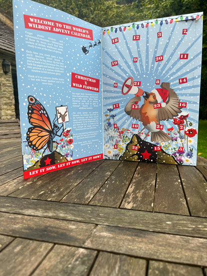 Wild Flower Seed Advent Calendar - Pre-order for 20% off
