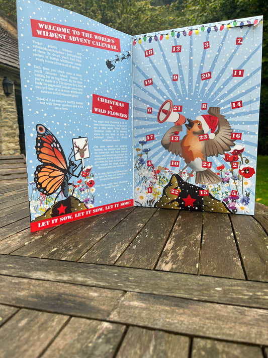 Wild Flower Seed Advent Calendar - Pre-order for 20% off