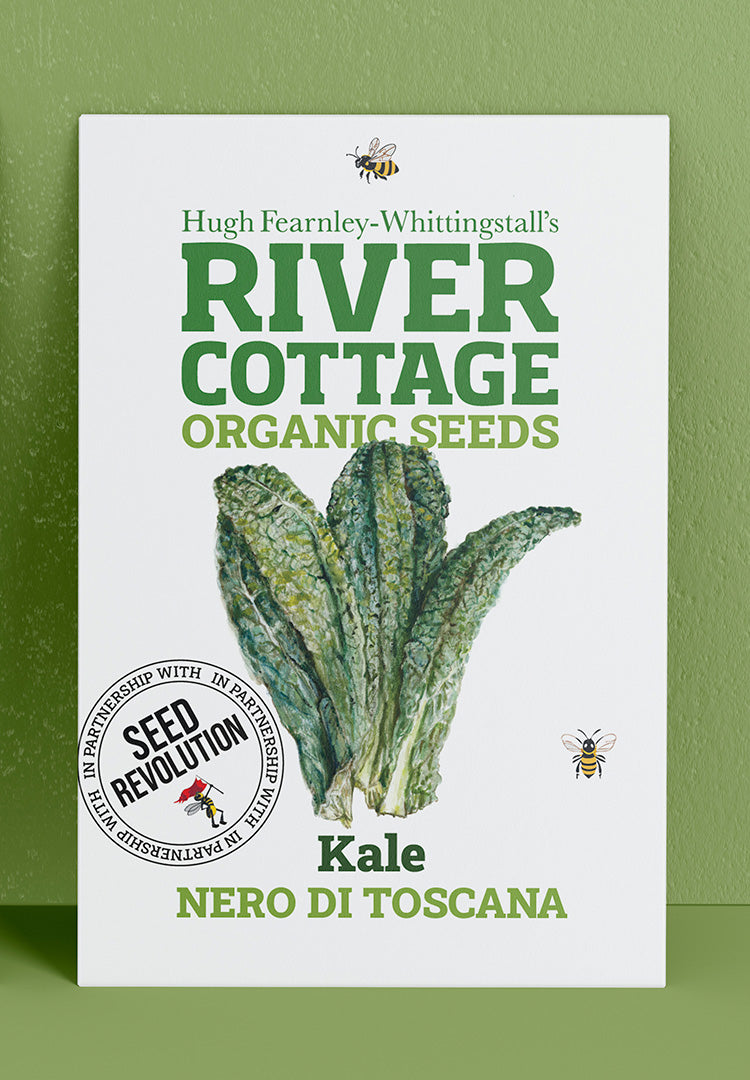 River Cottage Organic Veg Seeds - Kale Nero Di Toscana