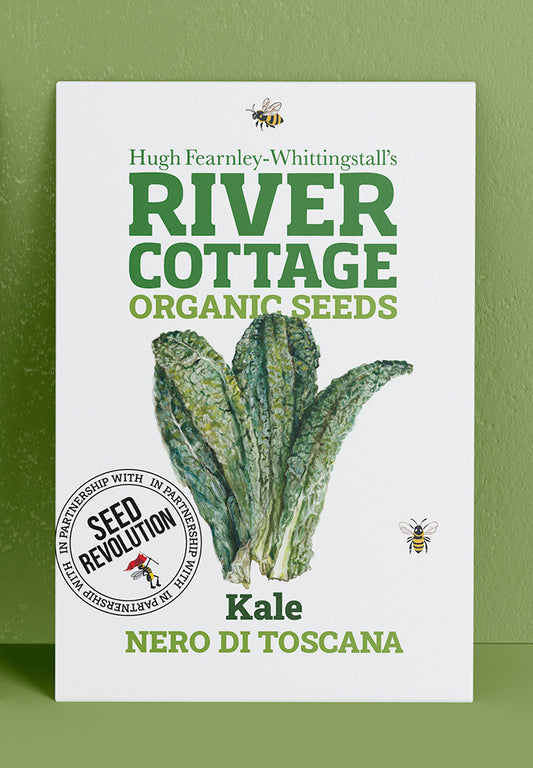 River Cottage Organic Veg Seeds - Kale Nero Di Toscana