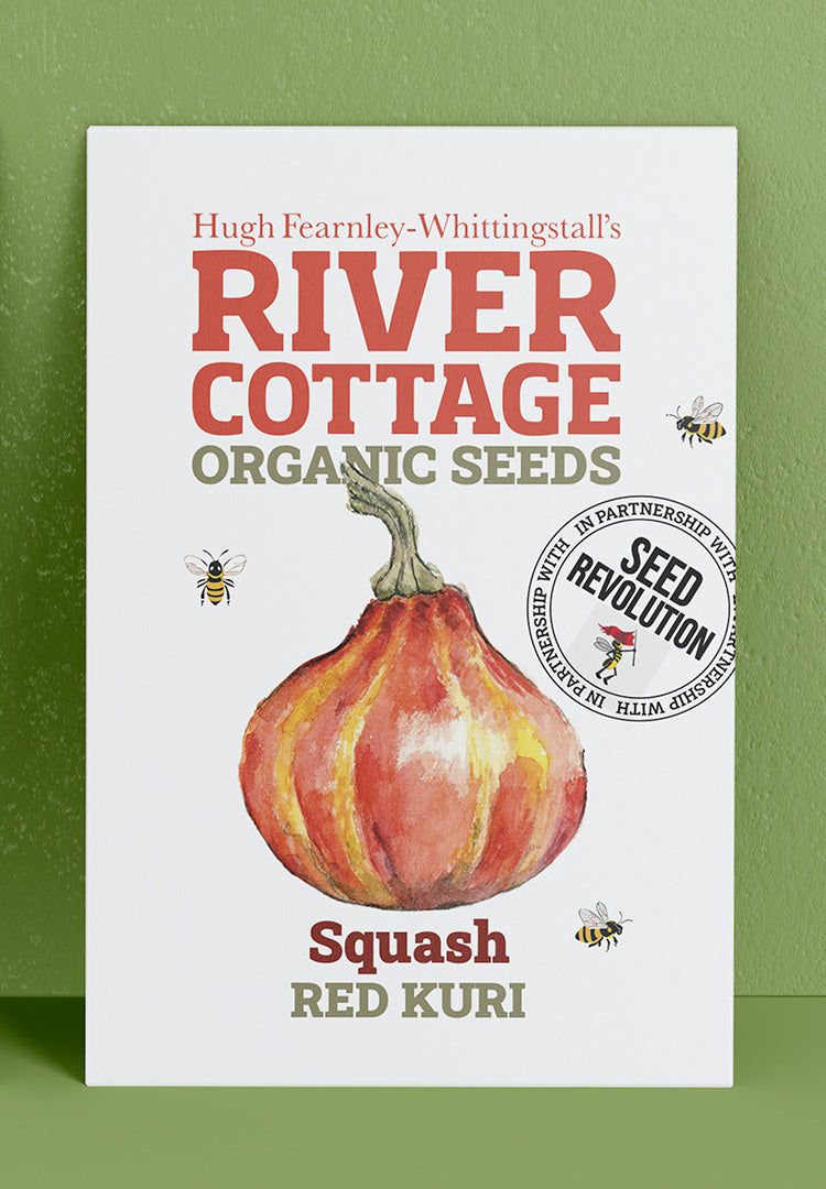 River Cottage Organic Veg Seeds - Squash Red Kuri