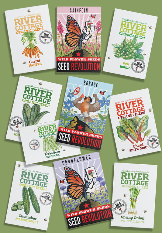 River Cottage Bee-Friendly Kitchen Garden Bundle