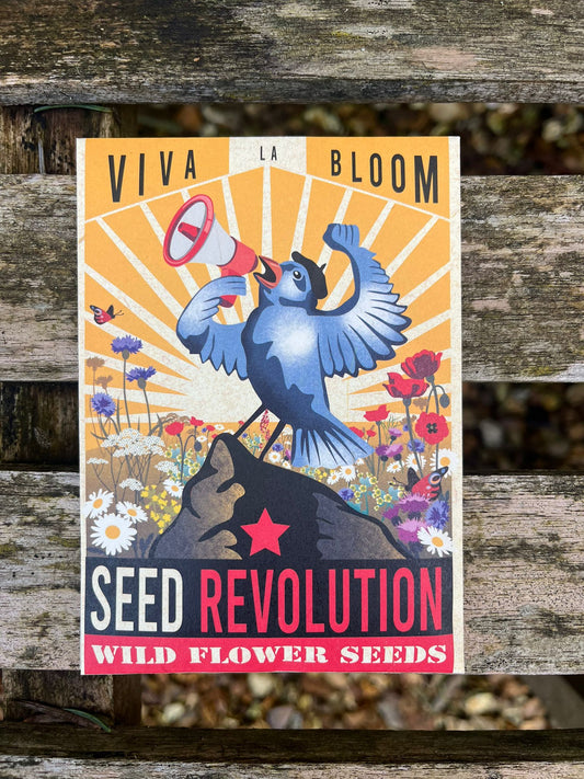 'Viva La Bloom' Native Wild Flower pack