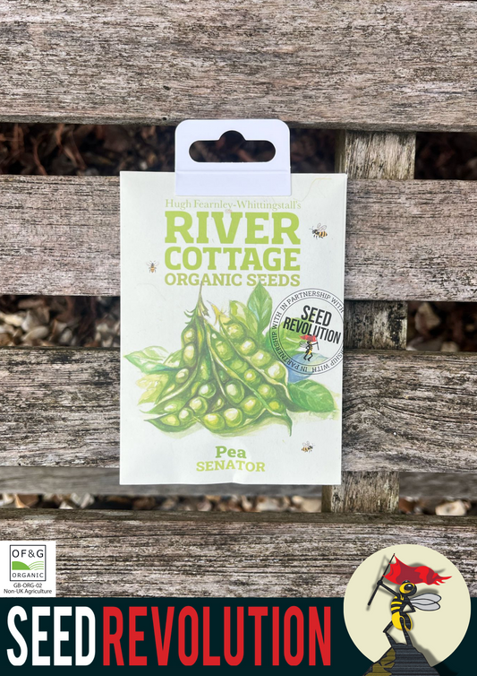 Organic Pea Senator - River Cottage