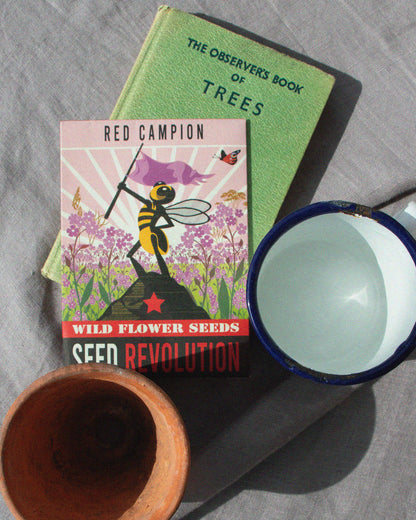 Red Campion Native Wildflower Seed