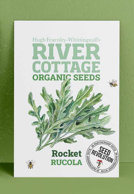 River Cottage Organic Veg Seeds - Rocket Rucola
