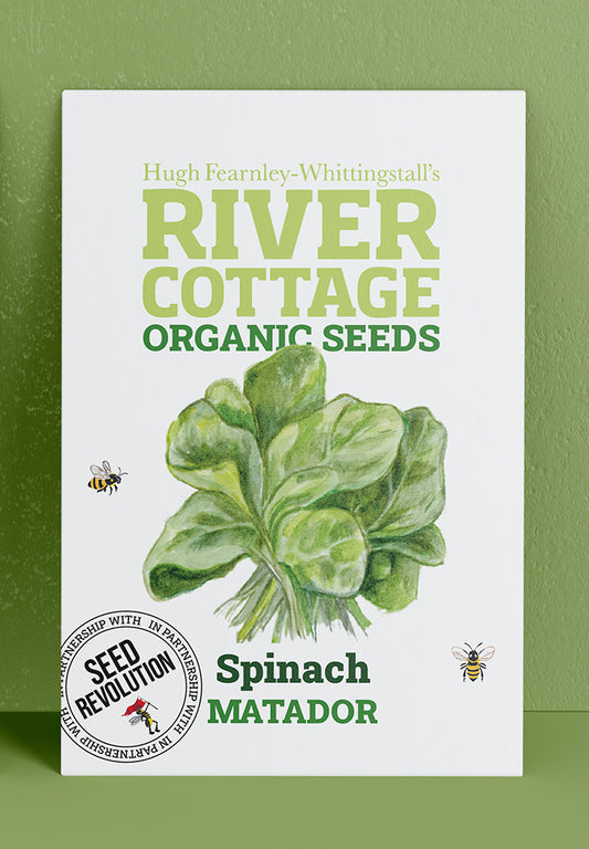 River Cottage Organic Veg Seeds - Spinach - Matador