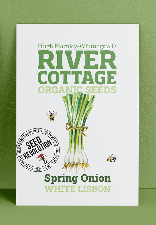 River Cottage Organic Veg Seeds - Spring Onion - White Lisbon