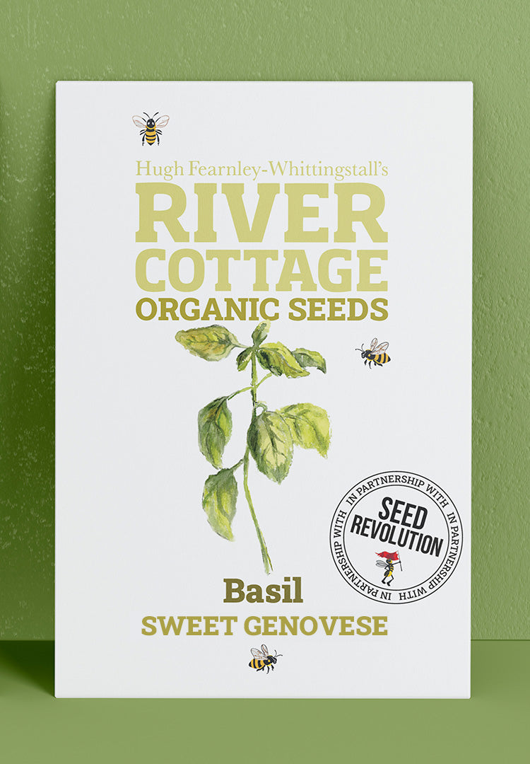 River Cottage Organic Veg Seeds - Basil - Sweet Genovese