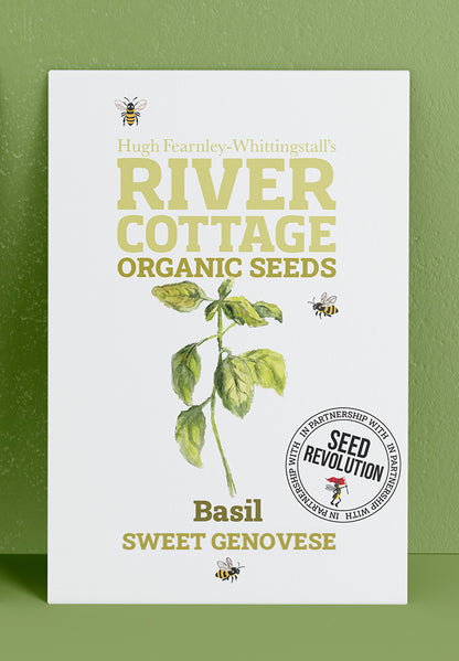 River Cottage Organic Veg Seeds - Basil - Sweet Genovese