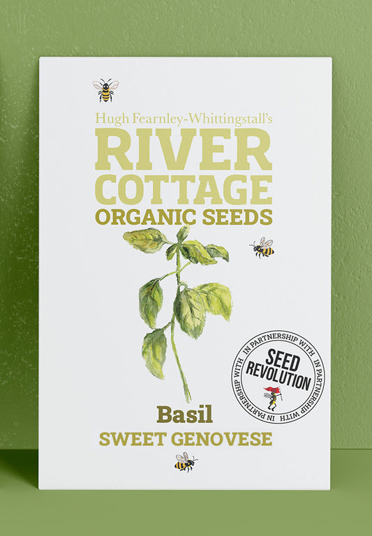 River Cottage Organic Veg Seeds - Basil - Sweet Genovese