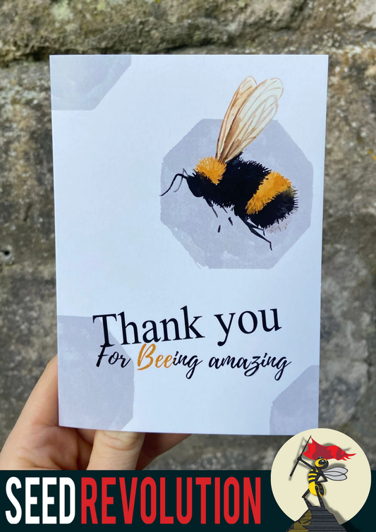 'Thank you for beeing amazing' greetings card