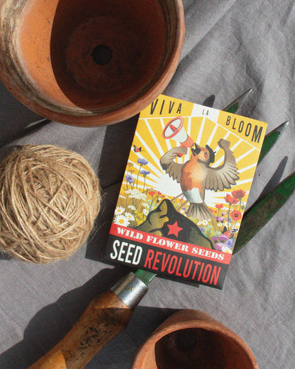 'Viva La Bloom' - Native Beginner's Meadow Wildflower Seed Mix Pack