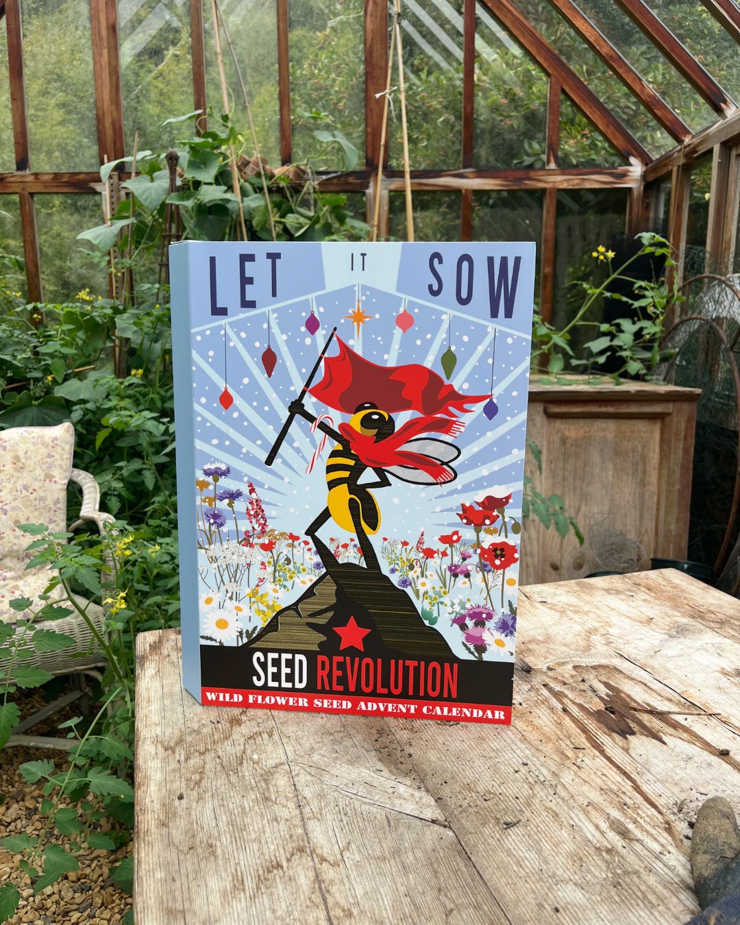 Our 'Let It Sow: Seed Revolution Wild Flower Seed Advent Calendar' standing upright on a rustic wooden table inside a greenhouse with green plants and glass panels in the background. Showcasing Seed Revolution's british wild flower seeds, british wildflower seeds, uk wildflower seeds, advent calendar, christmas calendar, seed advent calendar.