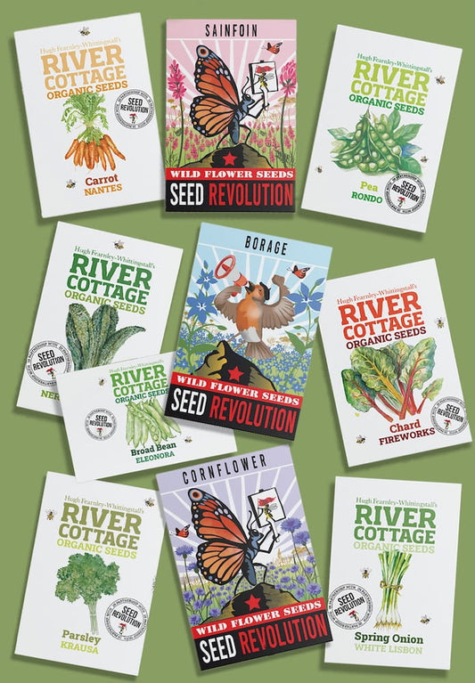 Collection of River Cottage Organic Veg Seeds packets for the Bee-Friendly Kitchen Garden Bundle on a green background. Showcasing Seed Revolution's Veg Seeds, carrot seeds, broad bean seeds, spring onion seeds, kales seeds, chard seeds, pea seeds, parsley seeds, wildflower seeds, vegetable seeds, organic seeds, seed for veggies, seeds veg, veg seed uk, organic seeds, organic vegetable seeds.