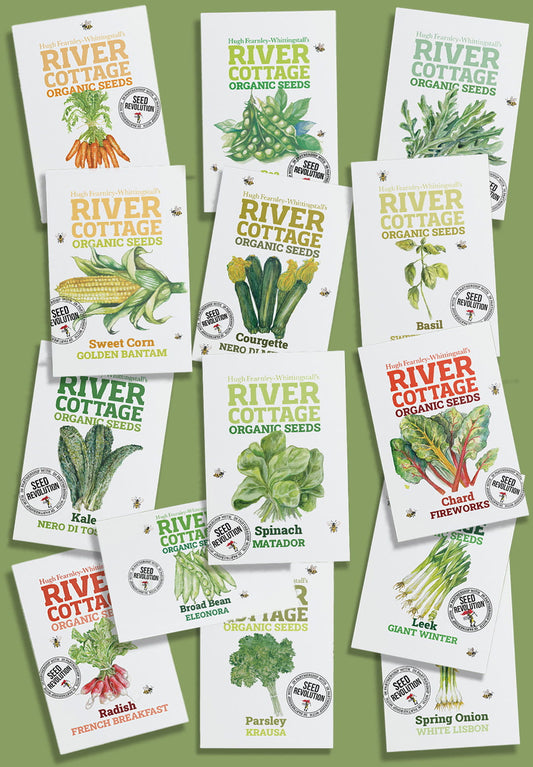 Collection of River Cottage Organic Veg Seeds packets for the Big Grower Bundle on a green background. Showcasing Seed Revolution's Veg Seeds, carrot seeds, broad bean seeds, radish seeds, beetroot seeds, spring onion seeds, kales seeds, chard seeds, pea seeds, parsley seeds, basil seeds, leek seeds, Sweet Corn seeds, vegetable seeds, organic seeds, seed for veggies, seeds veg, veg seed uk, organic seeds, organic vegetable seeds.