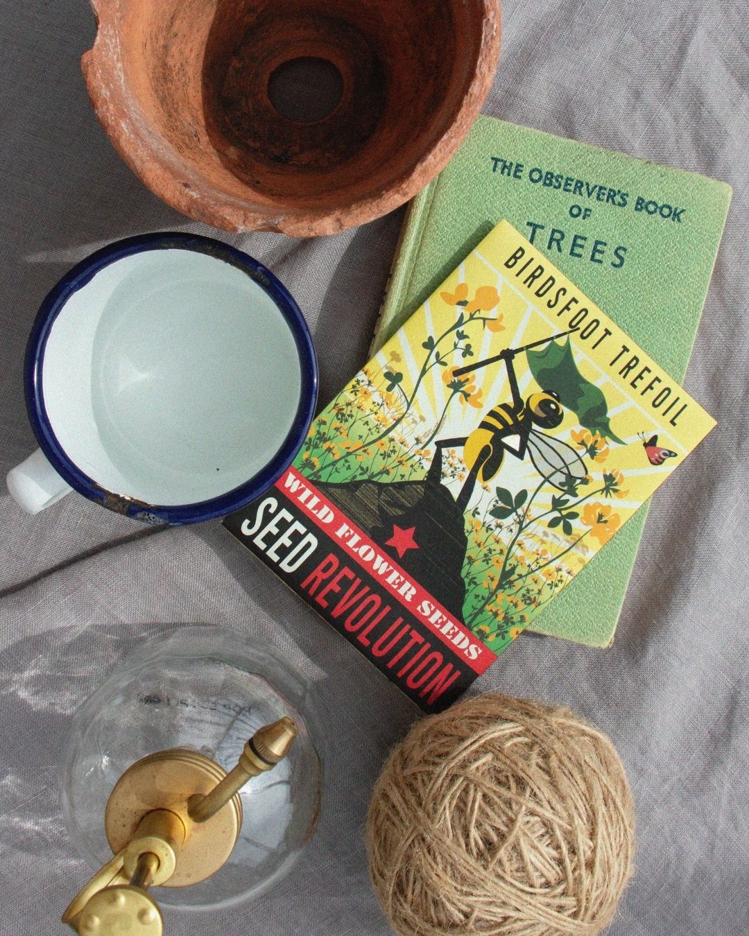 Wildflower Birdsfoot Trefoil seed packet with gardening items on a grey background. Showcasing Seed Revolution's Lotus corniculatus, bird’s foot trefoil, bird’s-foot trefoil, trefoil birdsfoot, birds foot trefoil, british wild flower seeds, british wildflower seeds, uk wildflower seeds.