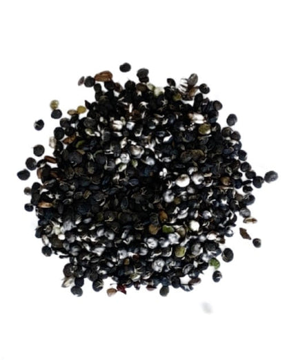 Black Medick seed in a pile with text 'No added soil filler, no added grass seed, just seed' and 'Seed Revolution' branding. Showcasing our Medicago lupulina, yellow trefoil, medic plant, british wild flower seeds, british wildflower seeds, uk wildflower seeds