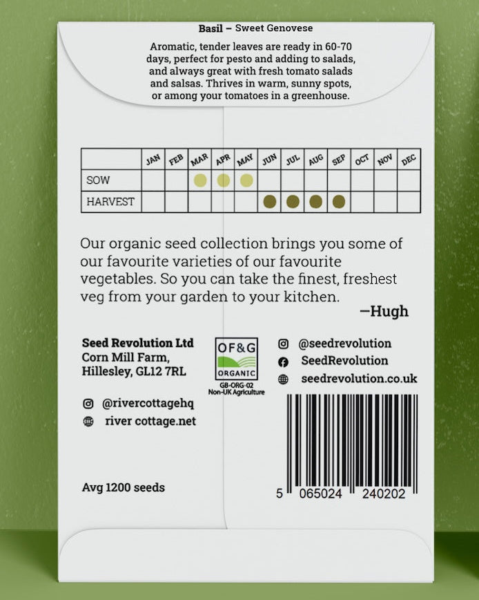 Back of River Cottage Basil seed packet with useful information and a barcode on a green background. Showcasing Seed Revolution basil seed, basil seeds, growing basil, vegetable seeds, organic seeds, seed for veggies, seeds veg, veg seed uk, organic seeds, organic vegetable seeds